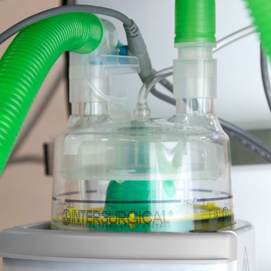 Active humidification