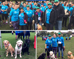 Dog walk for charity event
