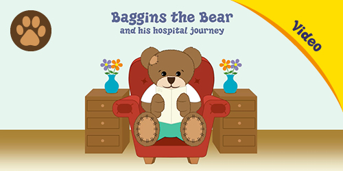 Baggins_the_bear_video_image