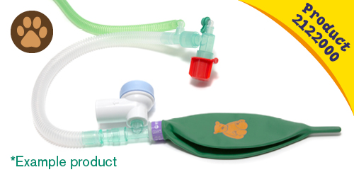 Baggins_the_bear_product_2122000_image